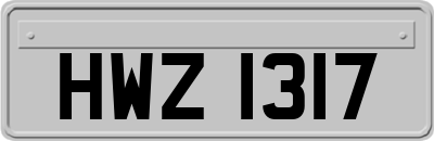 HWZ1317