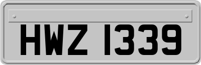 HWZ1339