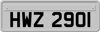 HWZ2901