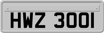 HWZ3001
