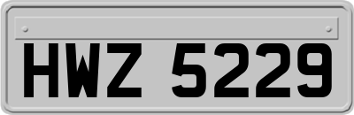 HWZ5229