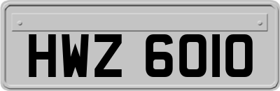 HWZ6010