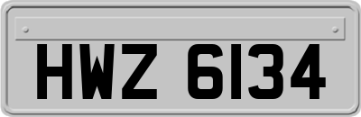 HWZ6134