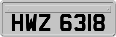 HWZ6318