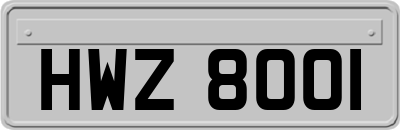 HWZ8001