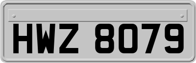 HWZ8079