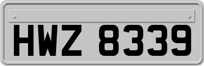 HWZ8339