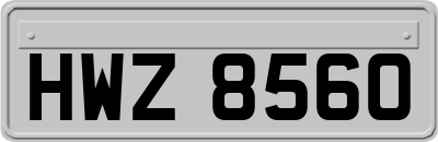 HWZ8560