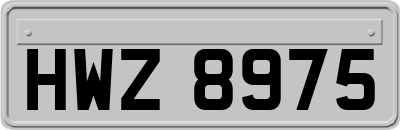 HWZ8975
