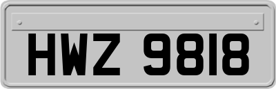 HWZ9818