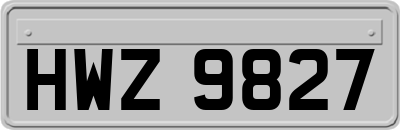 HWZ9827