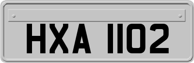HXA1102