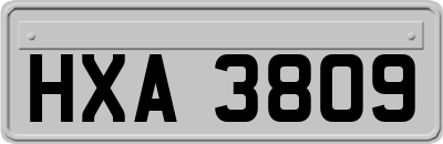 HXA3809