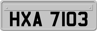 HXA7103