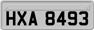HXA8493