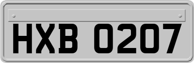 HXB0207