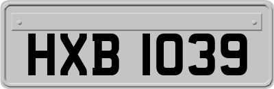 HXB1039