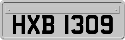 HXB1309