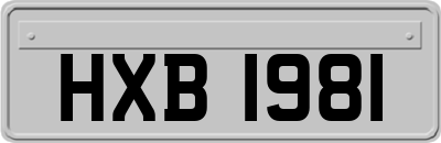 HXB1981