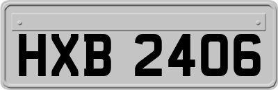 HXB2406