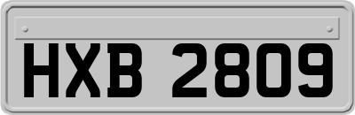 HXB2809