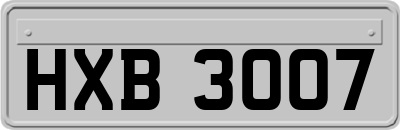 HXB3007