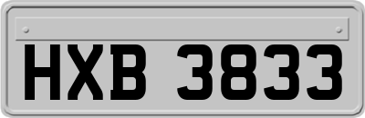 HXB3833