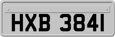 HXB3841