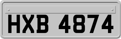 HXB4874