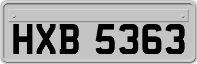 HXB5363