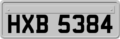 HXB5384