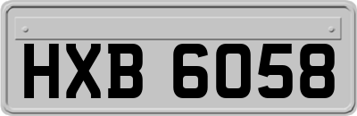 HXB6058