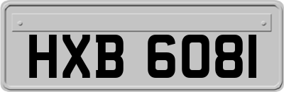 HXB6081