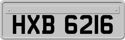 HXB6216