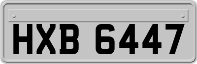 HXB6447