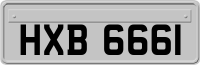 HXB6661