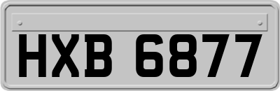 HXB6877