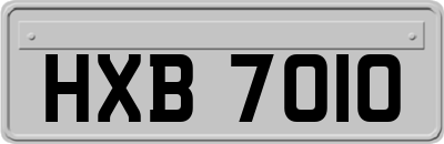 HXB7010