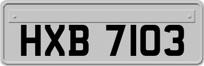 HXB7103