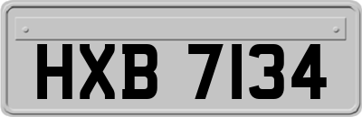 HXB7134