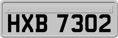 HXB7302