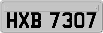 HXB7307