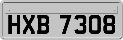 HXB7308