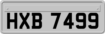 HXB7499