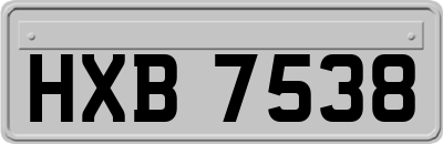 HXB7538
