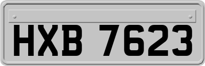 HXB7623