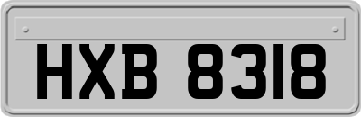 HXB8318