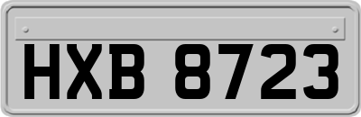 HXB8723