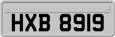 HXB8919