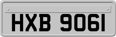 HXB9061